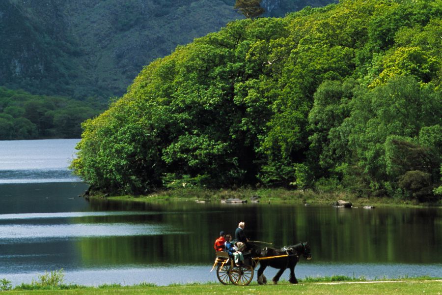 Killarney, budgetreis per bus Ierland