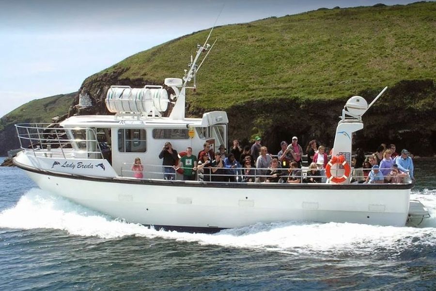 Blasket Wildlife Eco Tour - Dingle