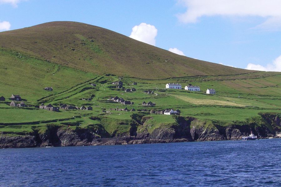 Blasket Wildlife Eco Tour - Dingle