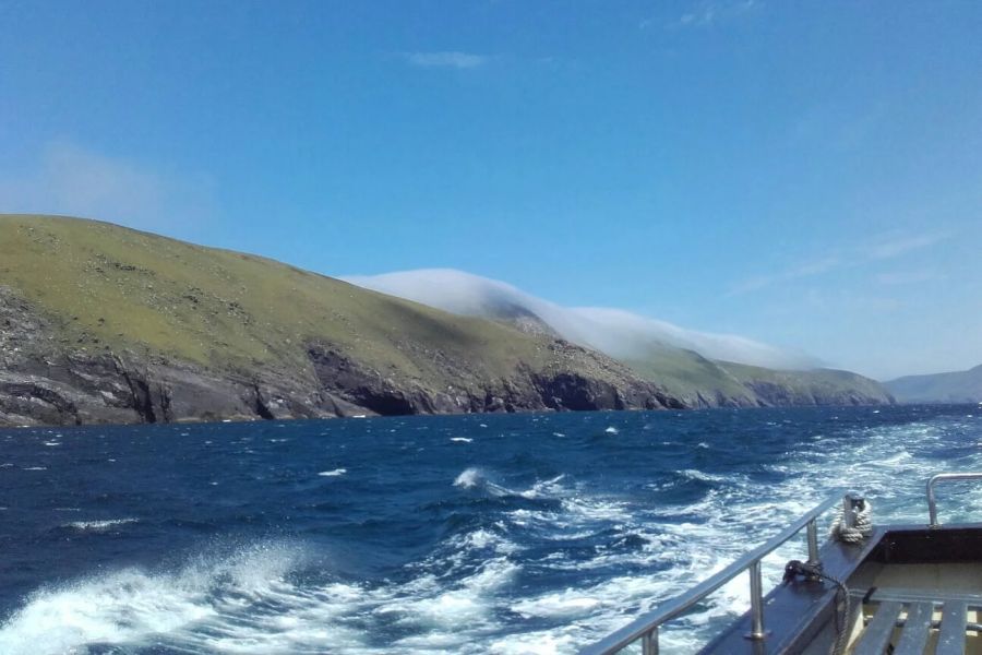 Blasket Wildlife Eco Tour - Dingle
