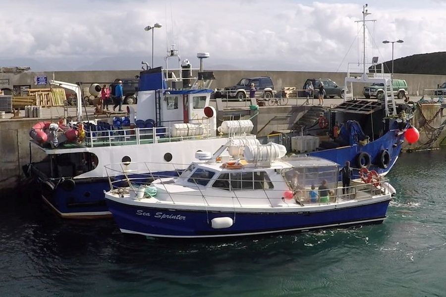 Clare Island Ferry vanuit Westport