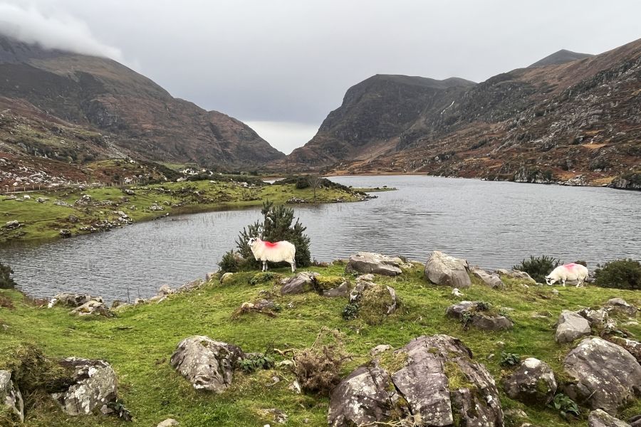 Gap Of Dunloe Adventure vanuit Killarney
