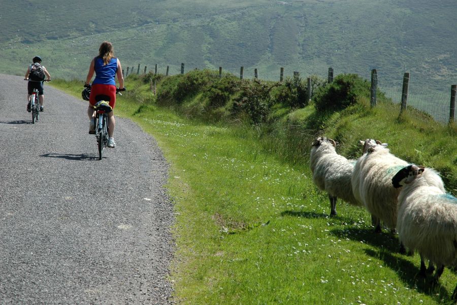 Fietsrondreis Kerry & Beara met bagagevervoer.