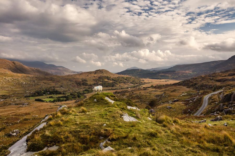Black Valley, Killarney met verblijf in tophotel