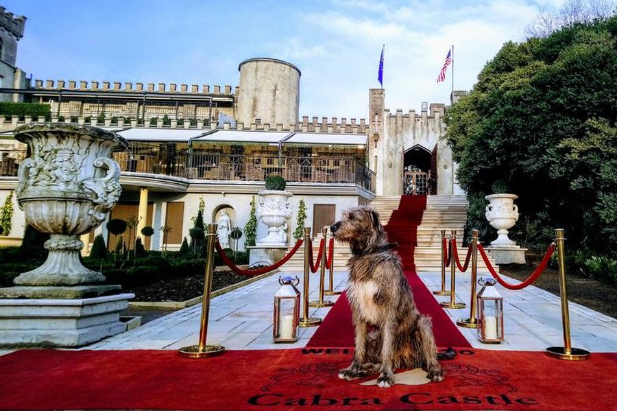 Cabra Castle, Kingscourt