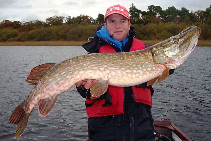 Zoetwatervissen - Melview Fishing Lodge, Longford