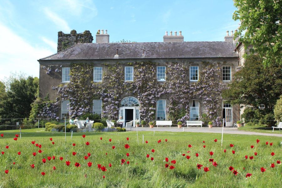 Ballymaloe House & Cookery School - Shannagarry