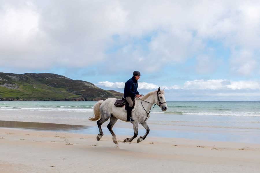 Dunfanaghy Stables