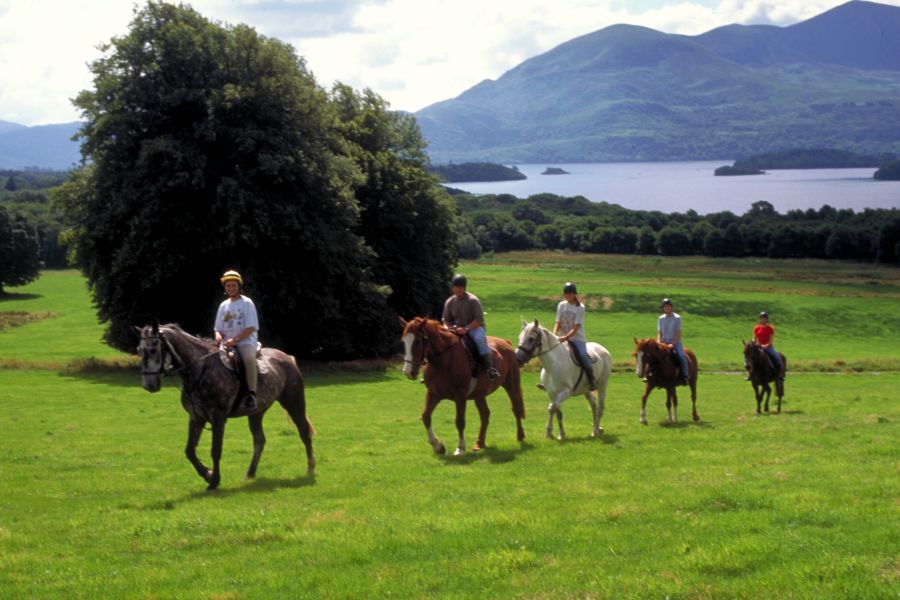 Ring Of Kerry paardrijtrektocht, 7 dagen