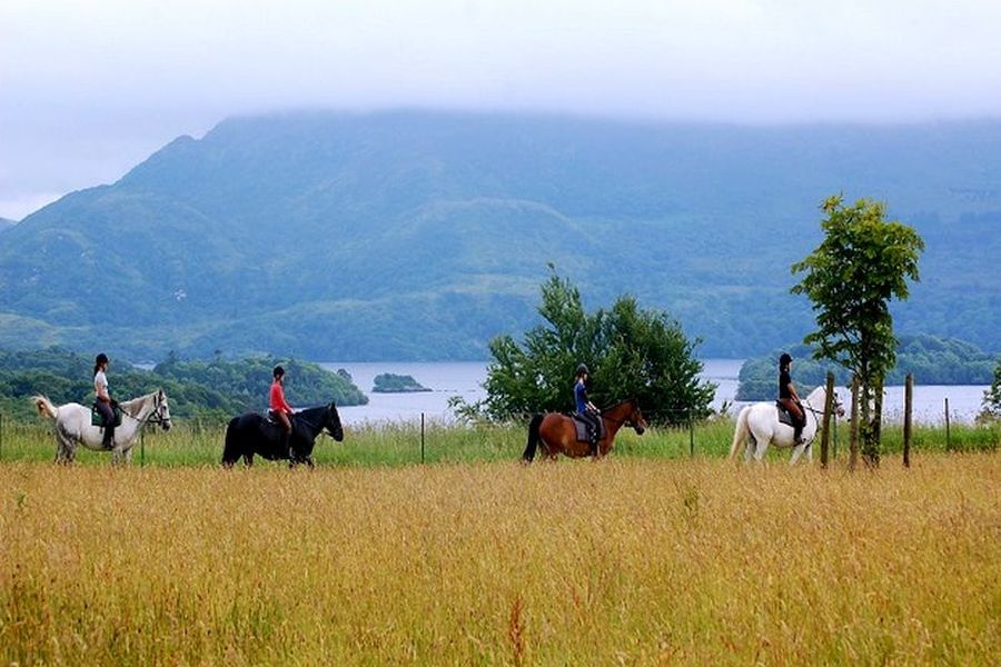 Ring Of Kerry paardrijtrektocht, 7 dagen