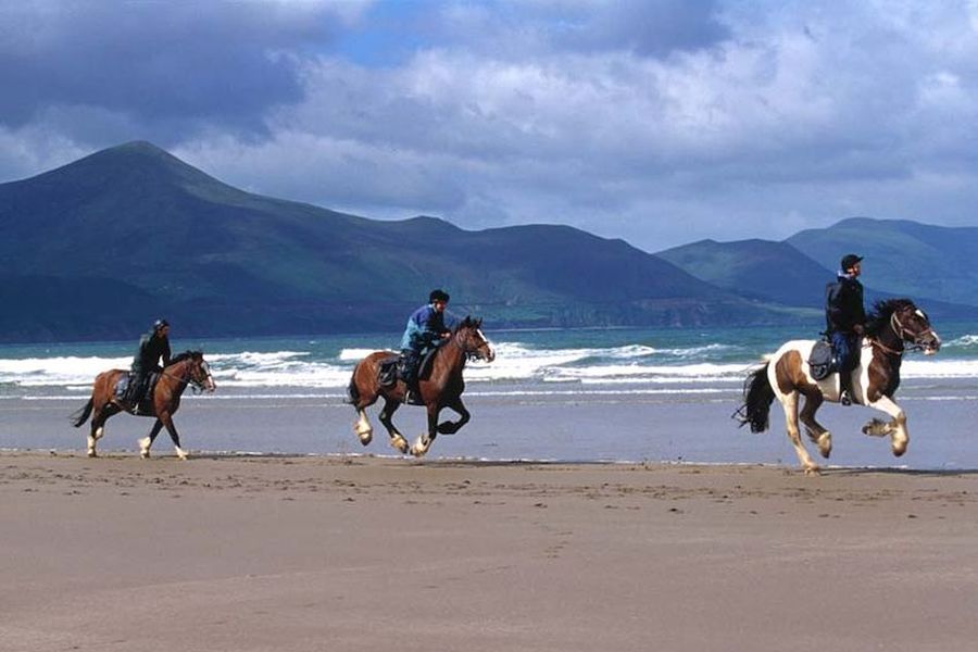 Ring Of Kerry paardrijtrektocht, 7 dagen