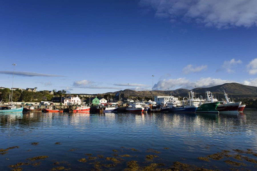 Beara Way 8-Daagse wandeltrektochten (individueel)