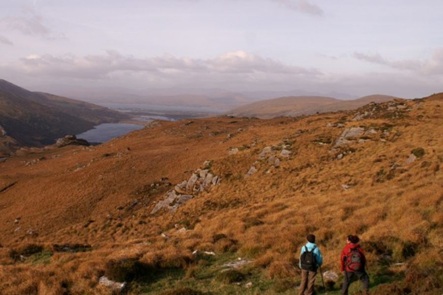 Beara Way 8-Daagse wandeltrektochten (individueel)