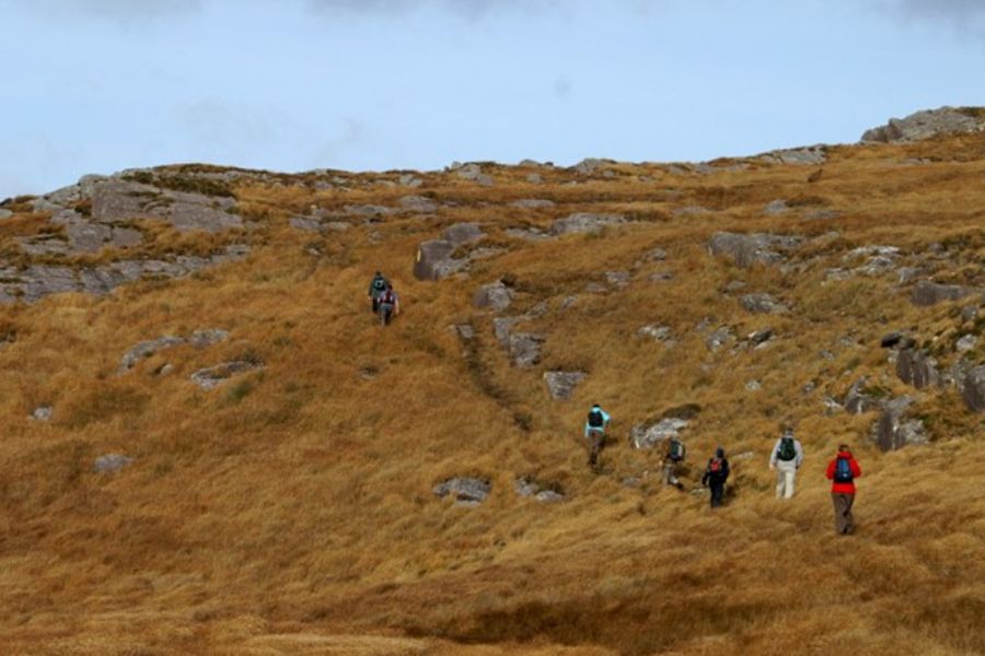 Beara Way 8-Daagse wandeltrektochten (individueel)