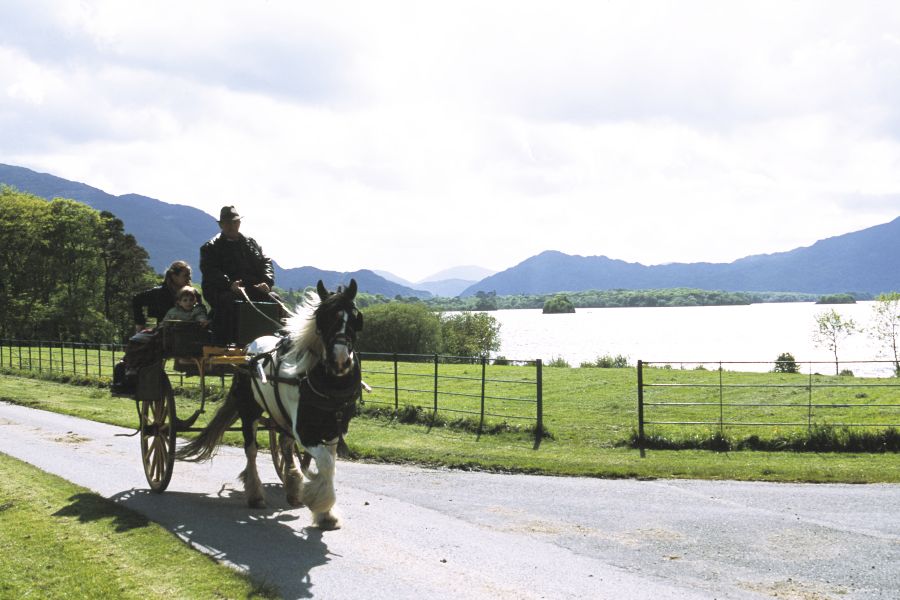 Jaunting car, vliegreis Killarney met verblijf in een cottage