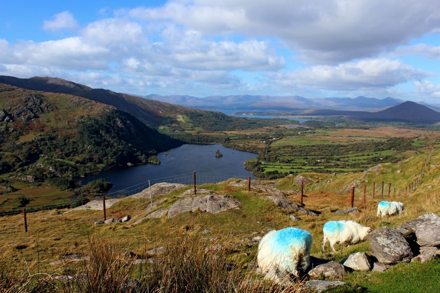 Healy Pass, vliegreis Killarney met verblijf in een cottage