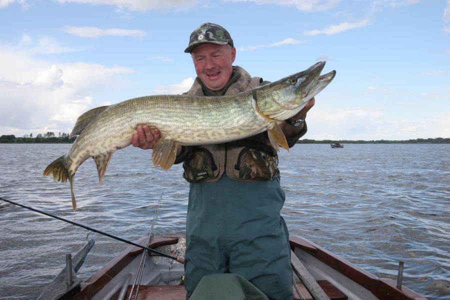 Visser Ierland snoek
