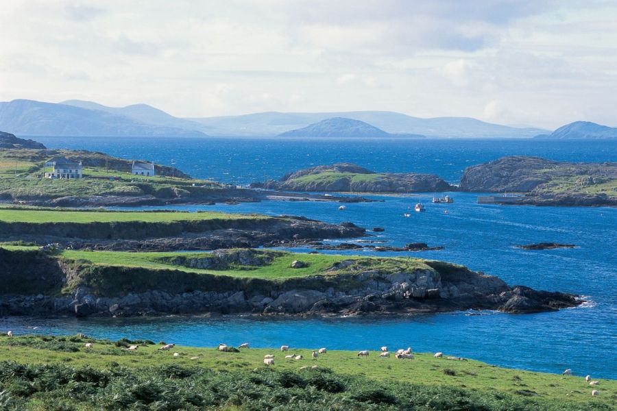 Ring Of Beara, reis West Cork incl. appartement