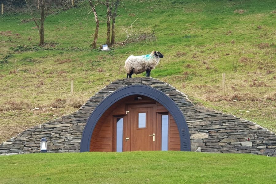 5-Daagse reis luxe kamperen en wandelen Sheep`s Head Peninsula