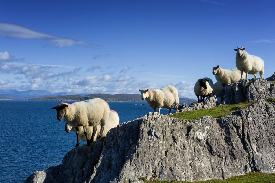 Wild Atlantic Way autorondreis Ierland vakantiewoningen