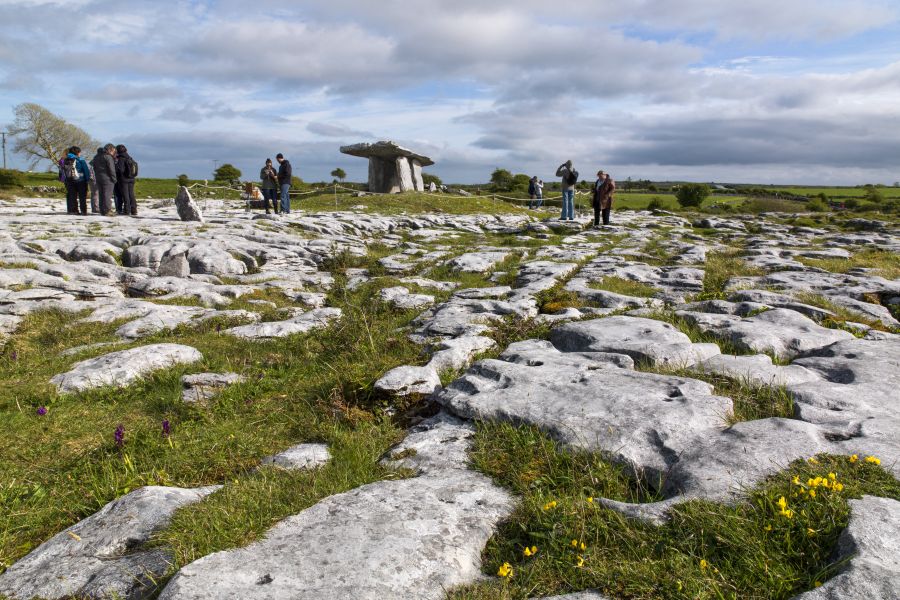 The Burren autorondreis Ierland glamping