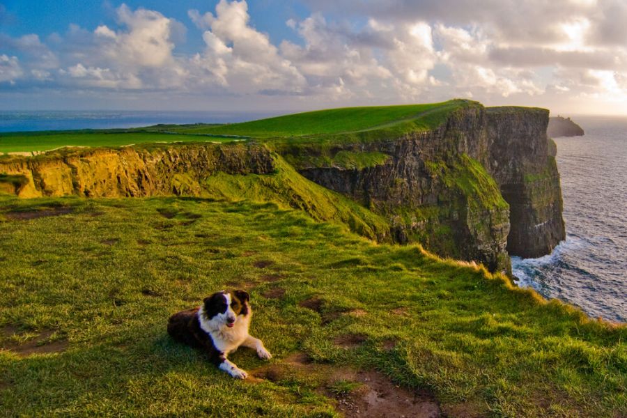 Cliffs Of Moher