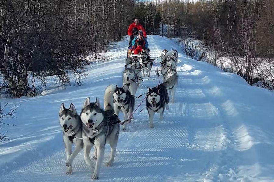 Winter Noord IJsland, Akureyri, incl.excursies
