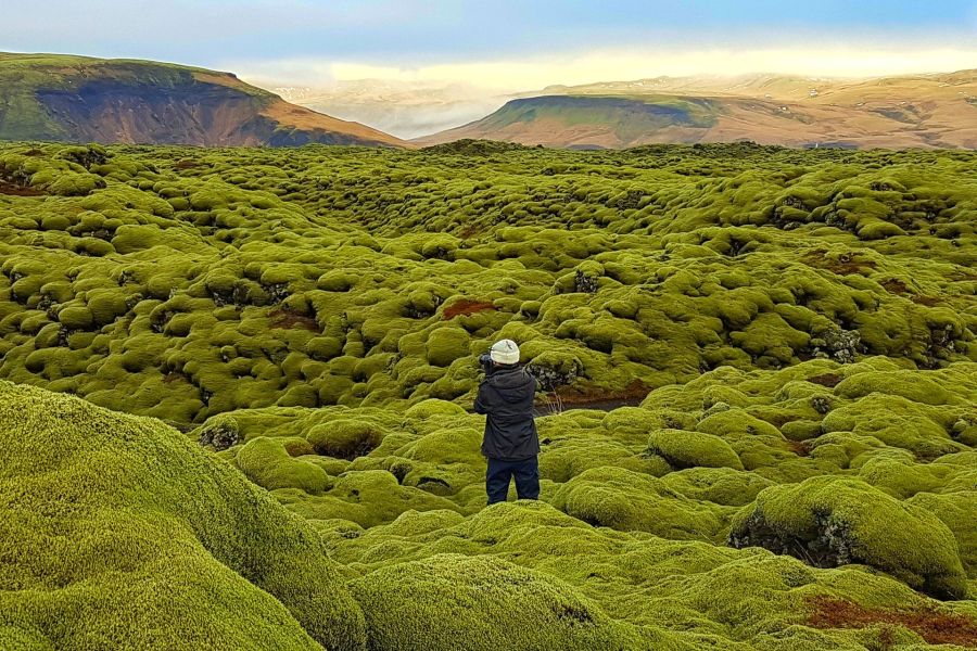 Eldhraun, busrondreis IJsland