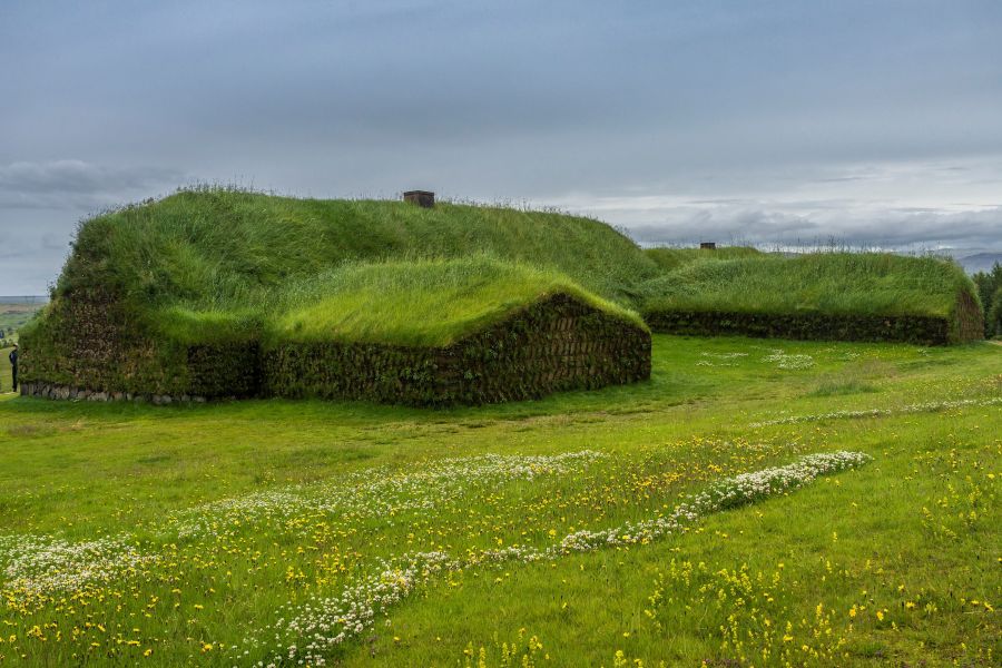 Stong, busrondreis IJsland