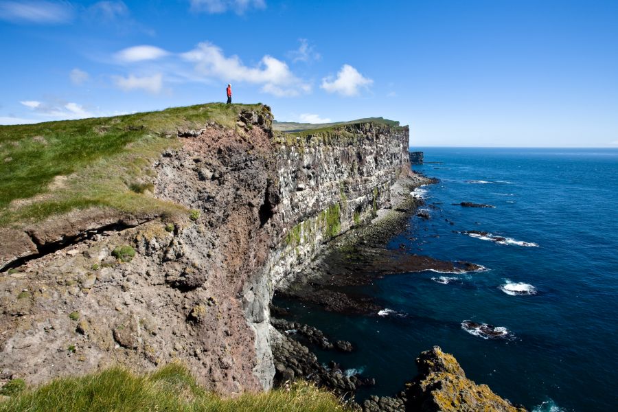 Latrabjarg Westfjorden busrondreis IJsland