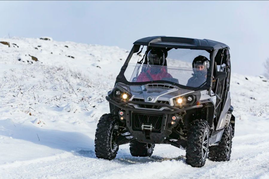 Buggy IJsland