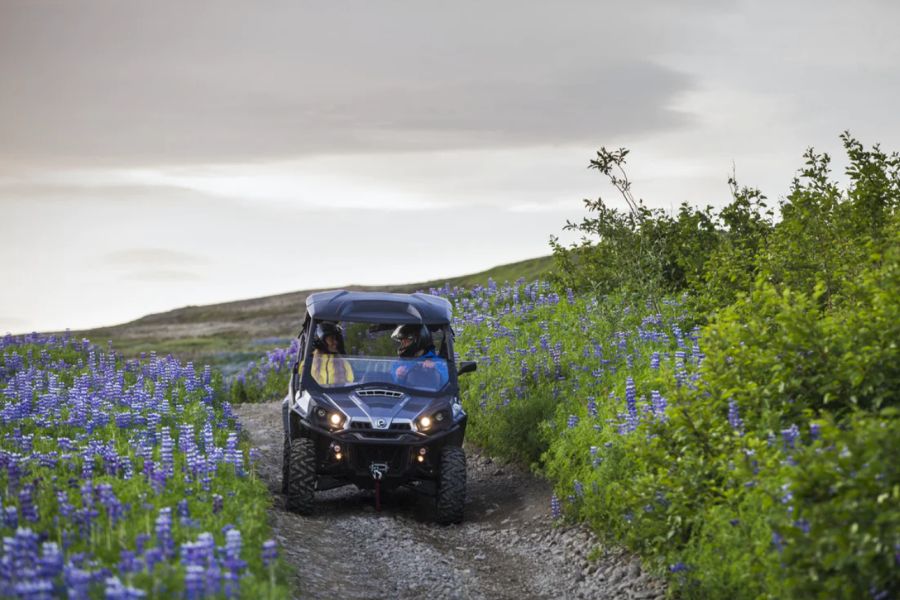 Buggy IJsland