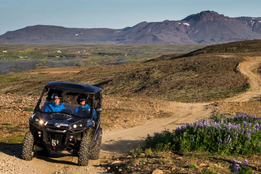 Buggy IJsland