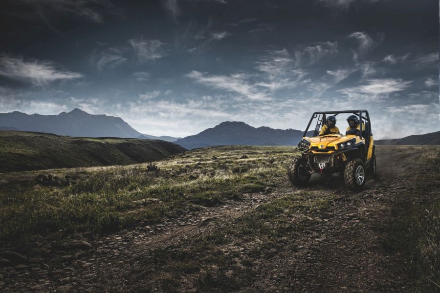 Buggy IJsland