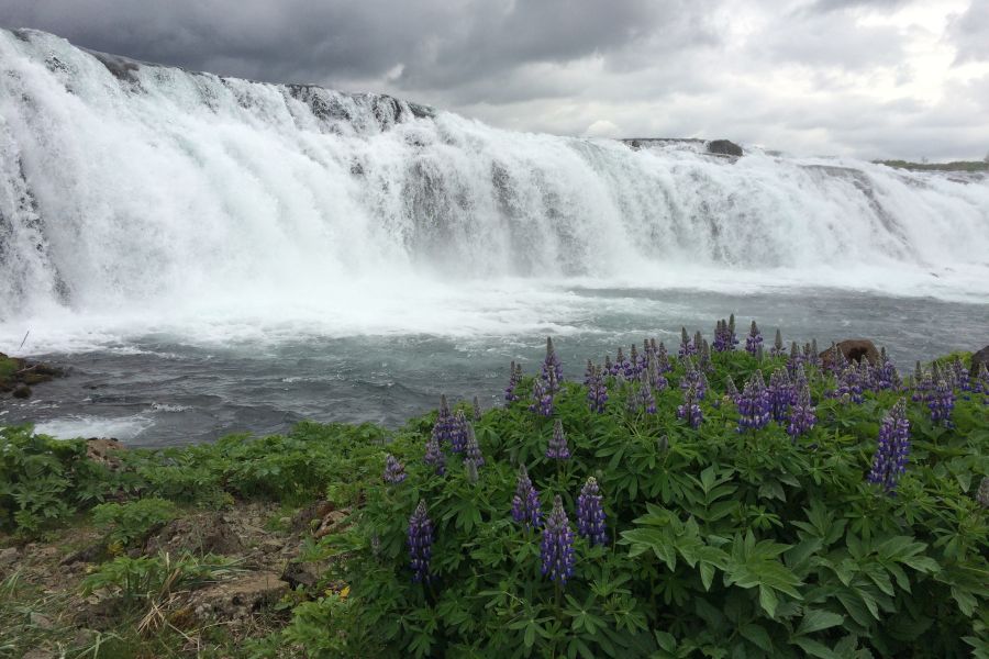 Golden Circle excursie Faxi