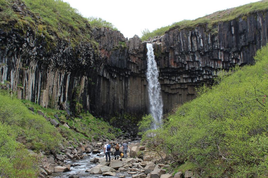 Svartifoss Autorondreis IJsland