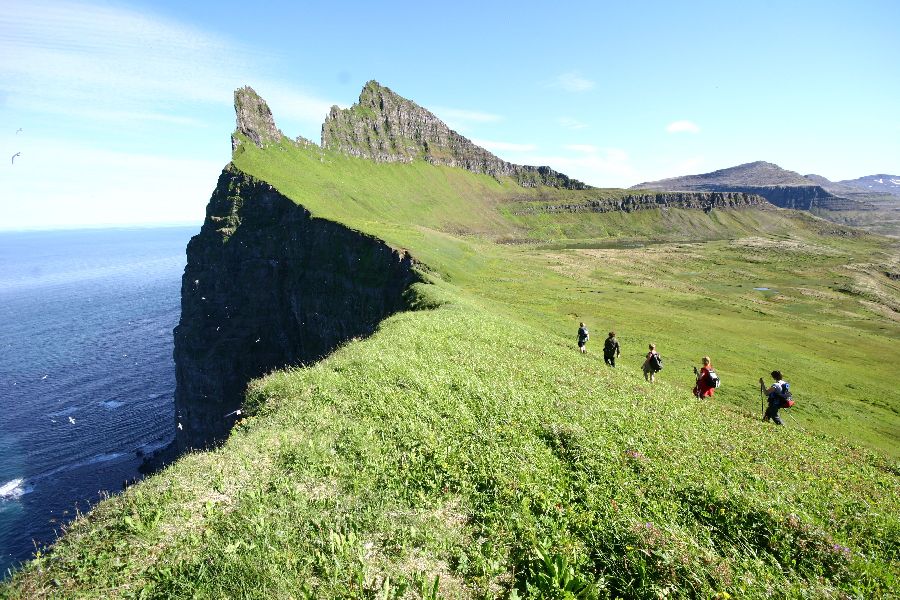 Hornstrandir Autorondreis IJsland