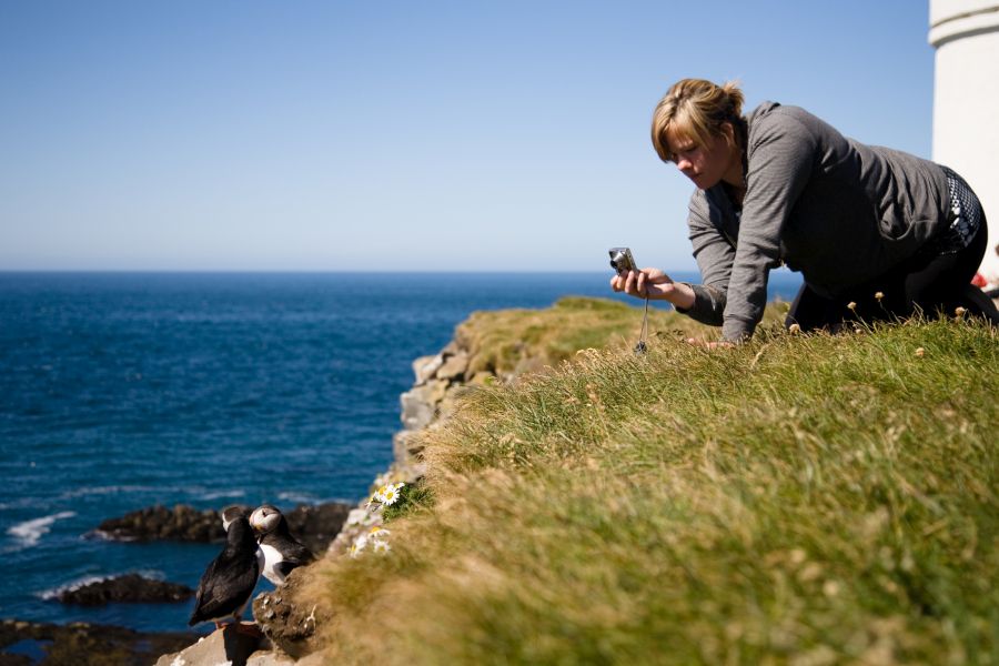 Latrabjarg busrondreis IJsland