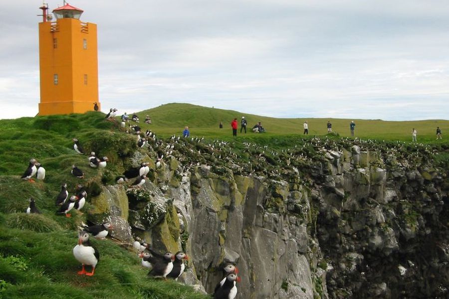 Ingolfshöfði IJsland rondreis vakantiewoningen