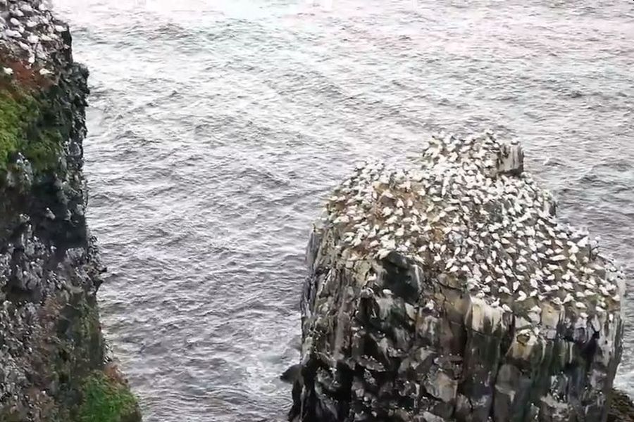 Langanes Stori Karl Wandelreis IJsland