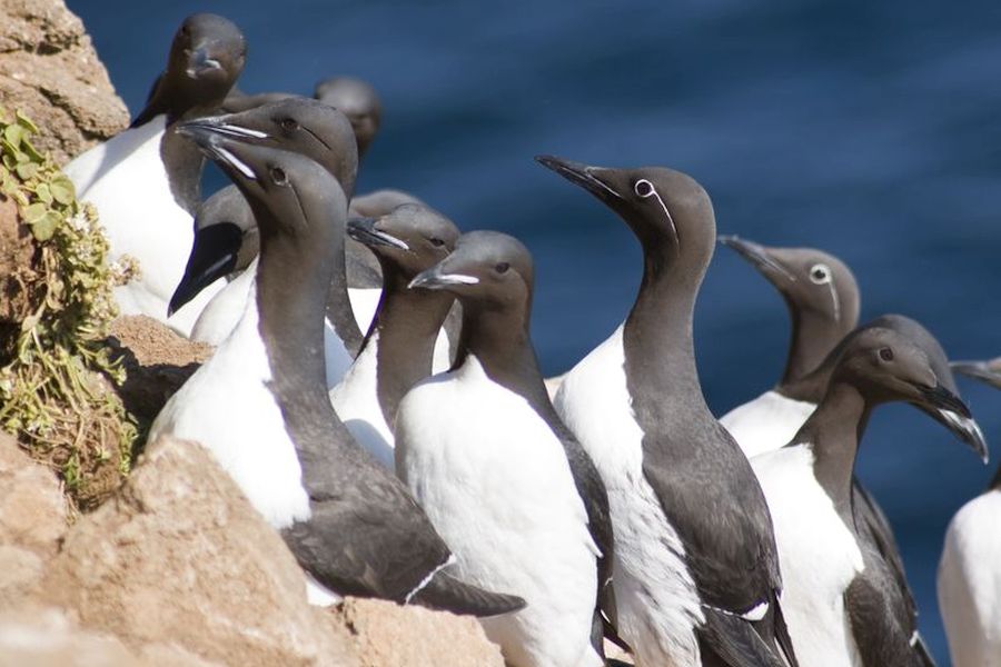 Alken Wandelreis IJsland