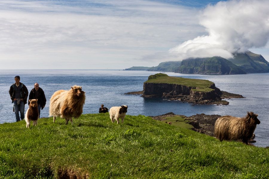 Faroer Eilanden Autorondreis IJsland