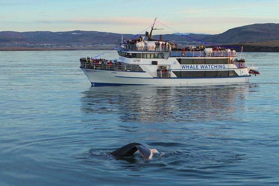 Vliegreis Kennismaking Met IJsland incl.excursies