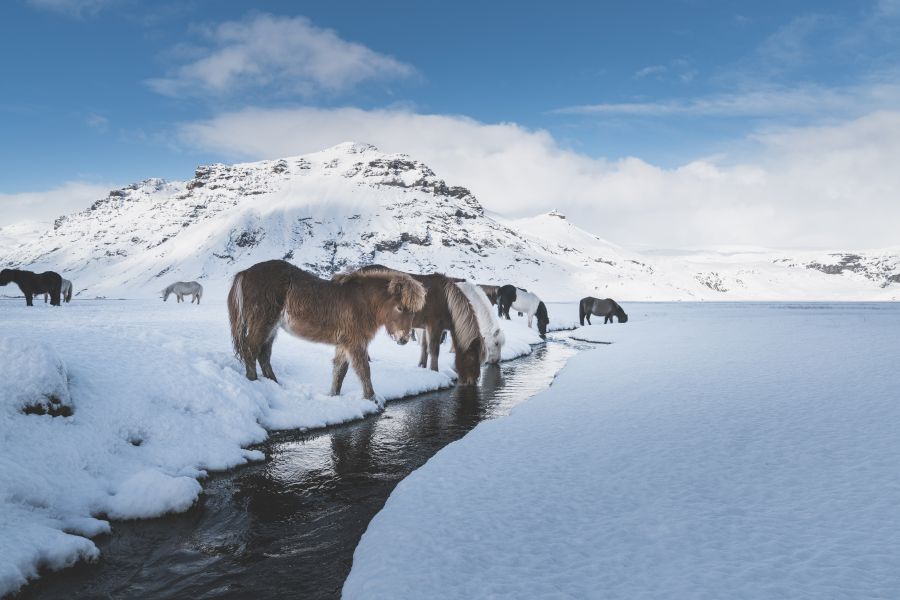 Winterreis IJsland