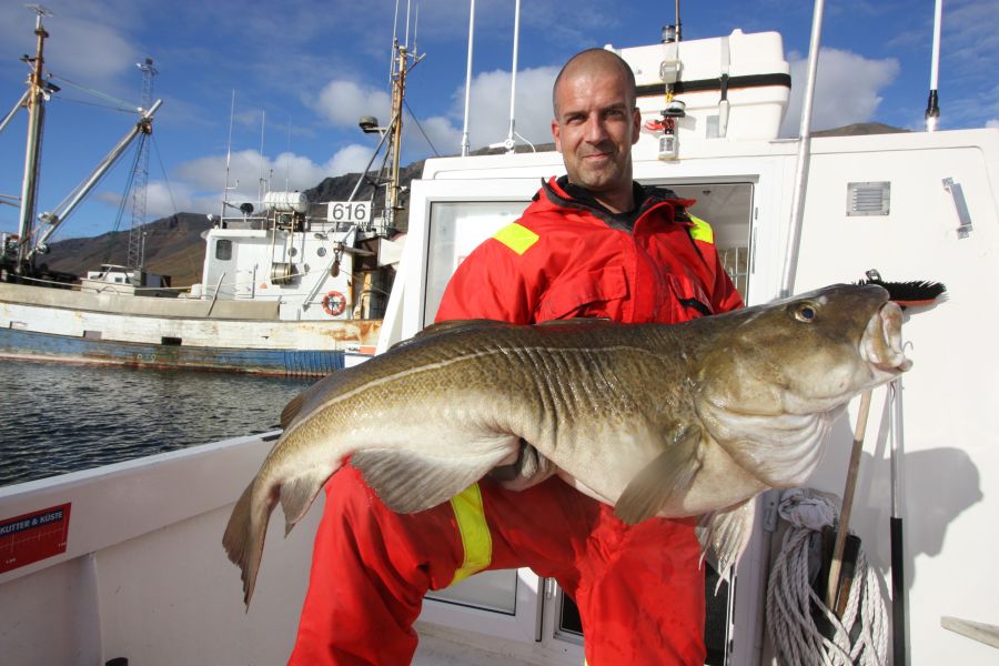 Zeevissen Flateyri Westfjords
