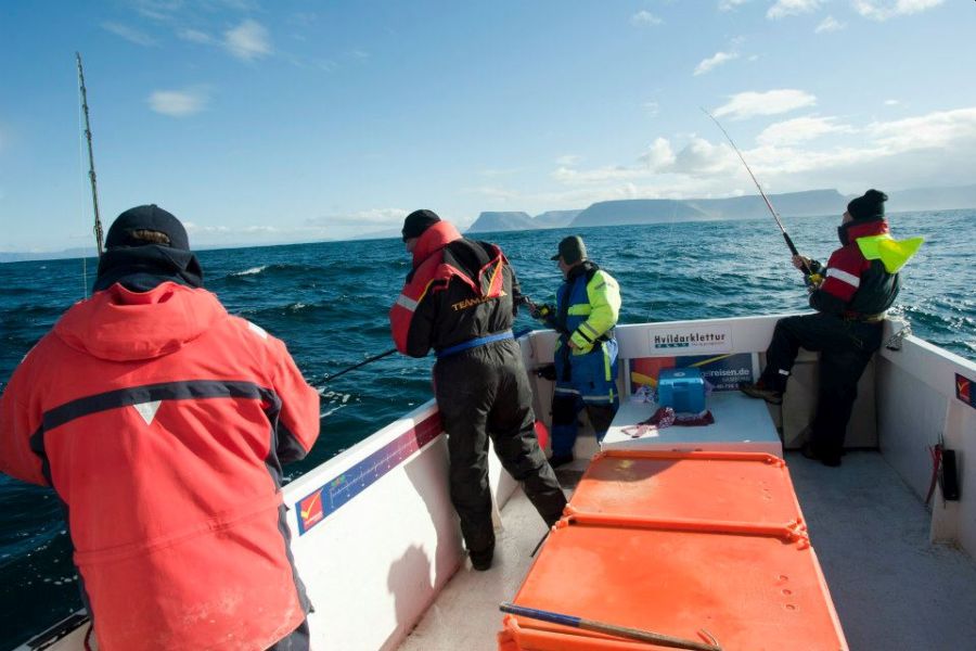 Zeevissen Flateyri Westfjords