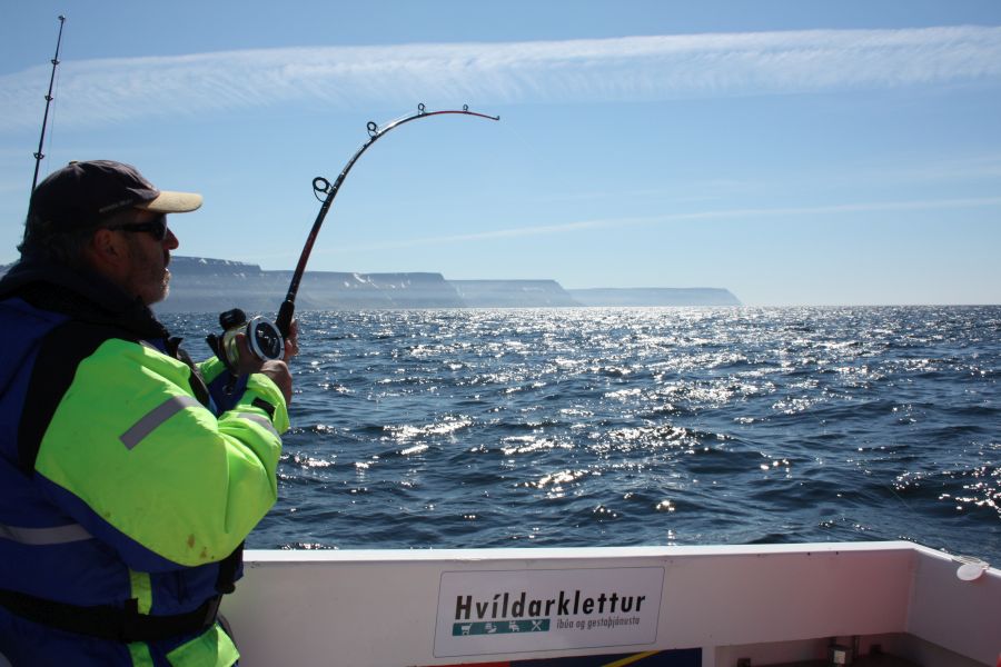 Zeevissen Flateyri Westfjords