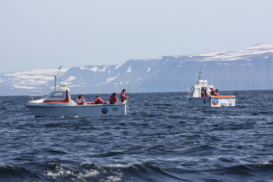 Zeevissen Flateyri Westfjords