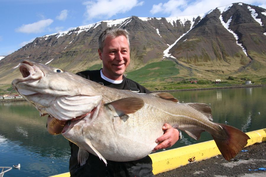 Zeevissen Flateyri Westfjords