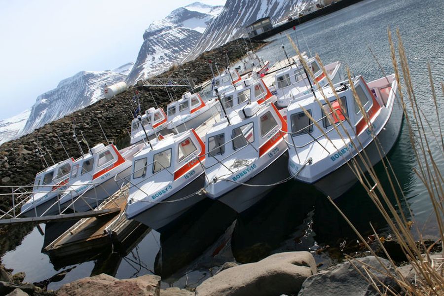 Zeevissen Flateyri Westfjords